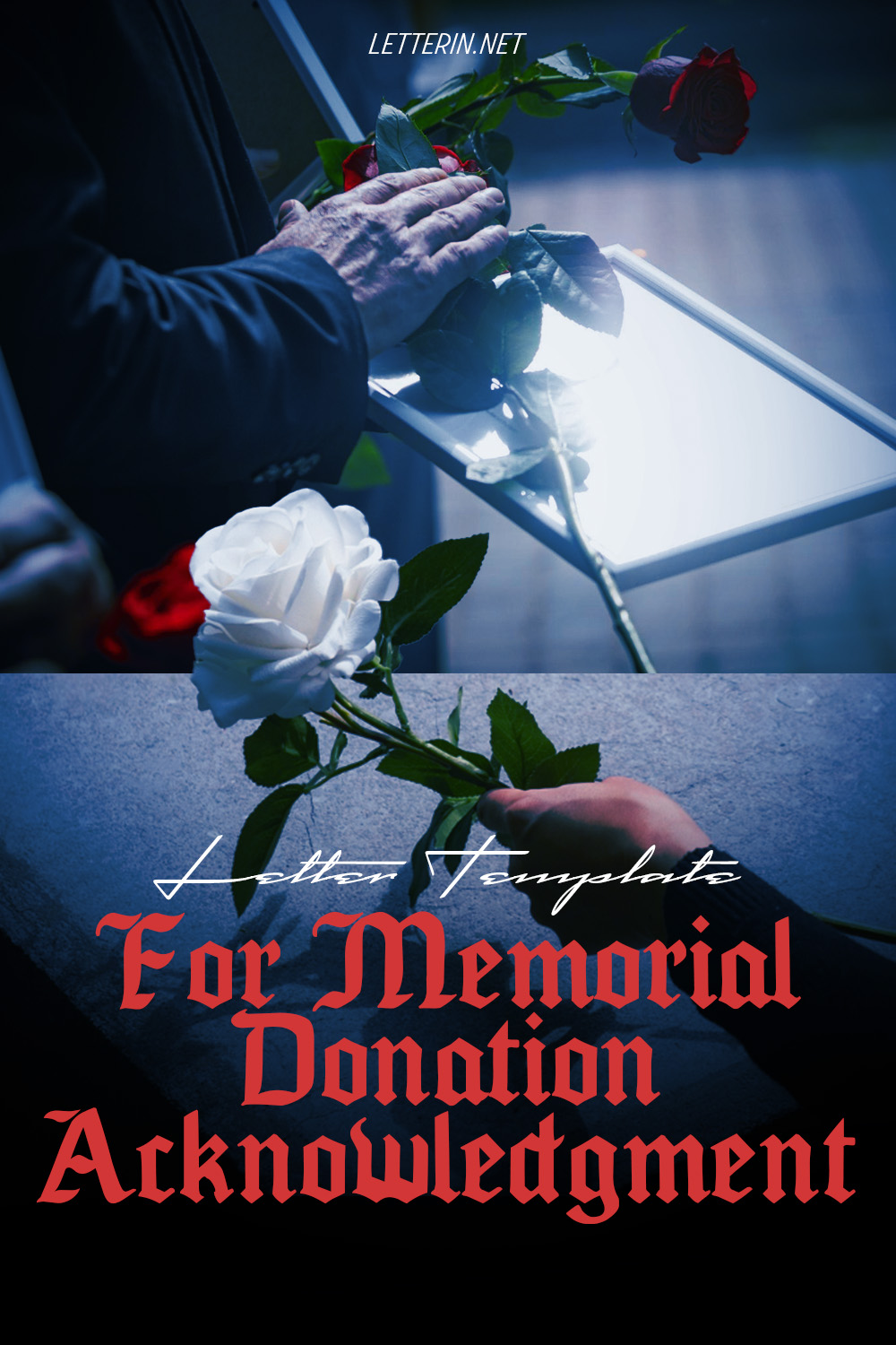 Letter Template For Memorial Donation Acknowledgment