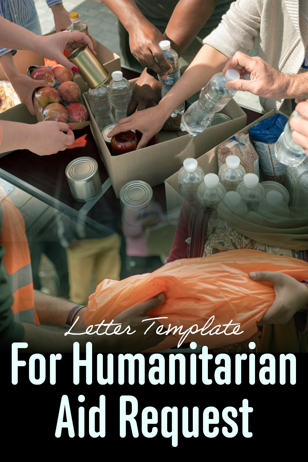 Letter Template For Humanitarian Aid Request