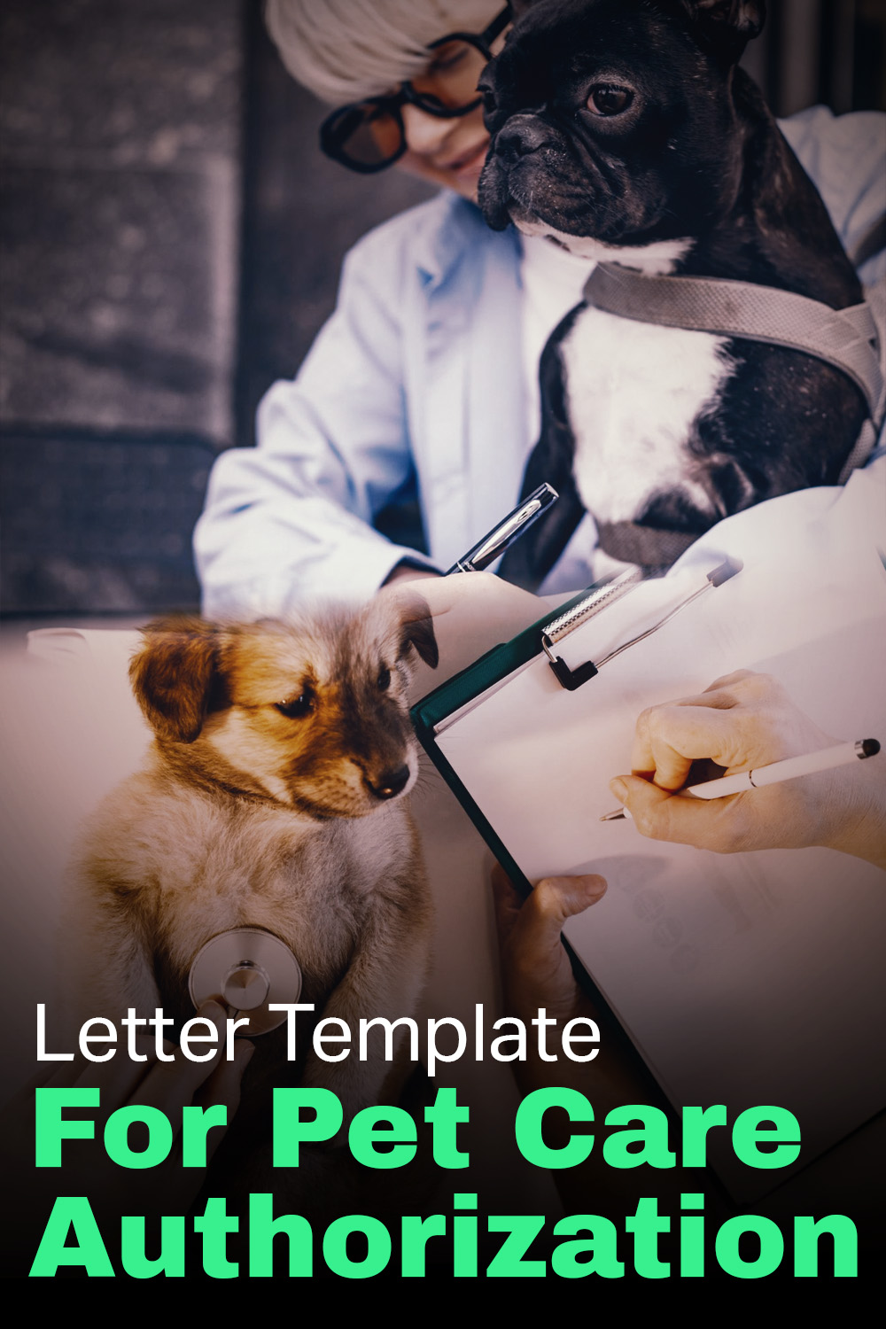 Letter Template For Pet Care Authorization