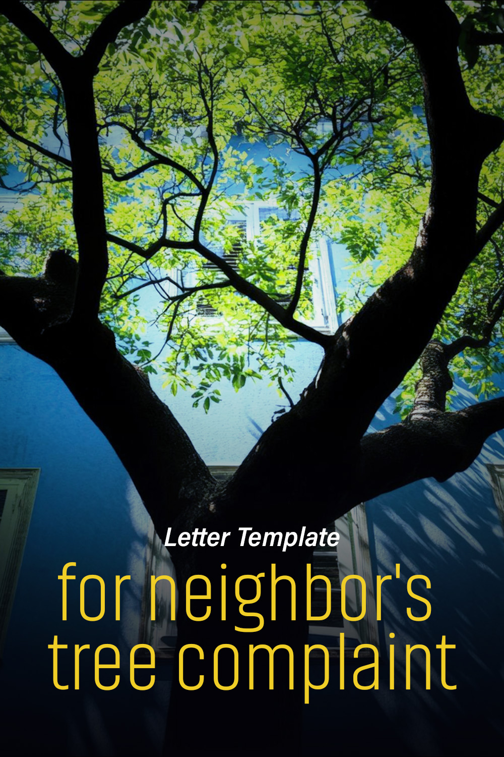 Letter Template For Neighbor'S Tree Complaint