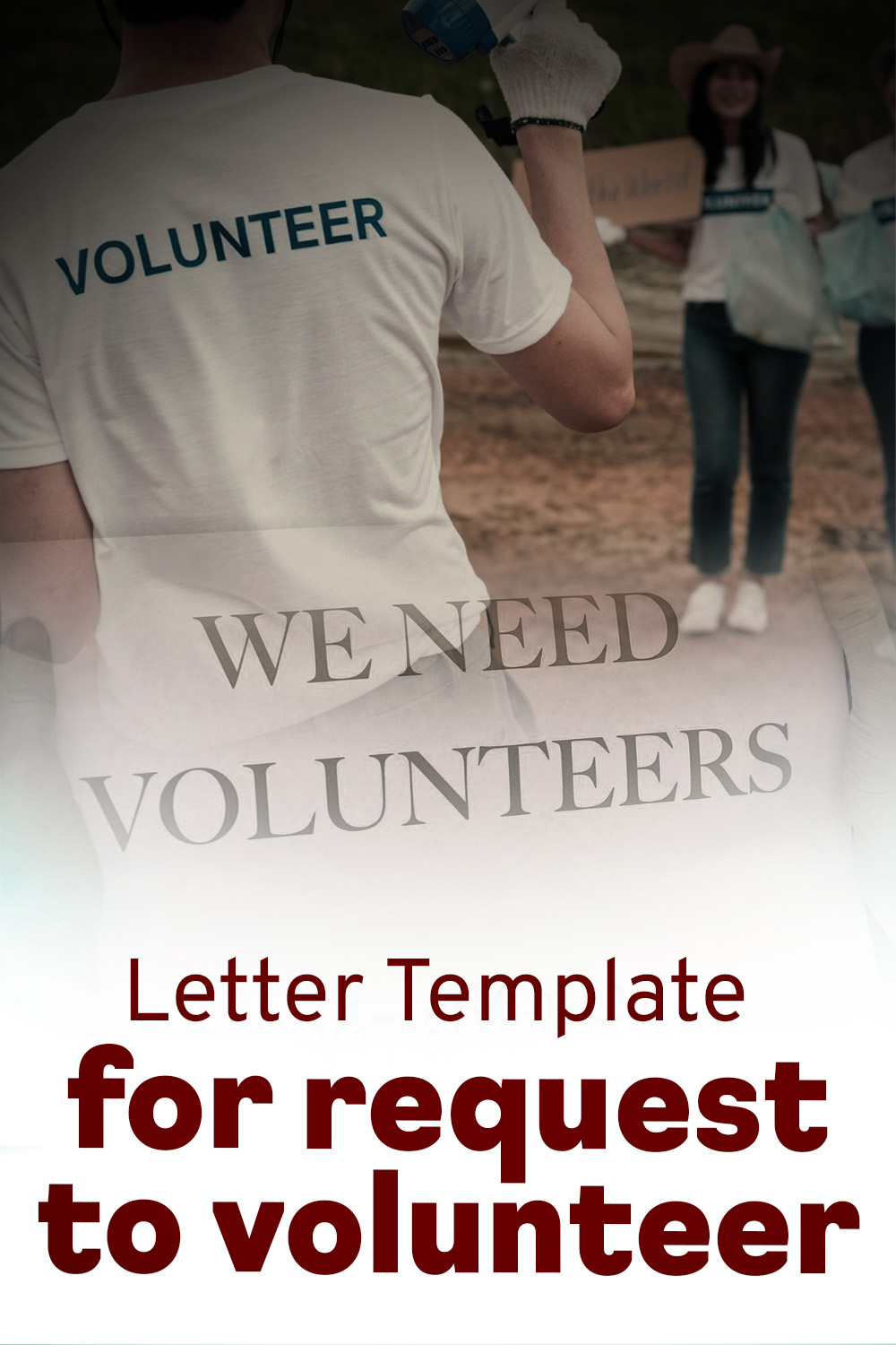 Letter Template For Request To Volunteer
