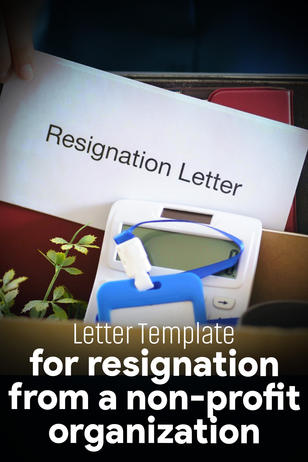 Letter Template For Resignation From A Non-Profit Organization