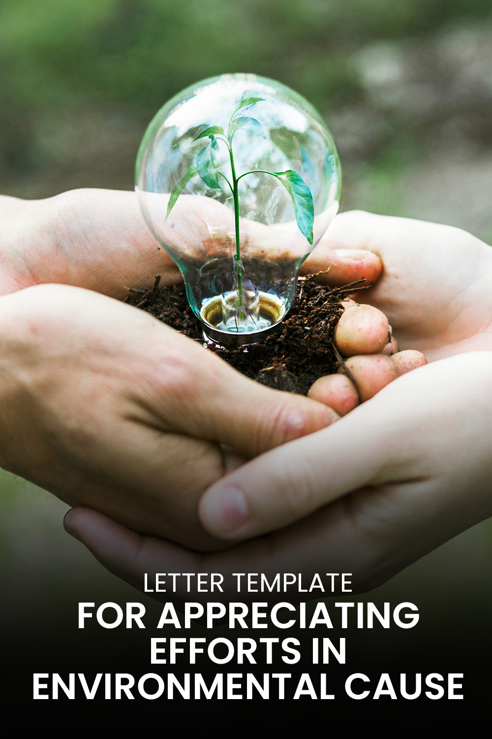 Letter Template For Appreciating Efforts In Environmental Cause