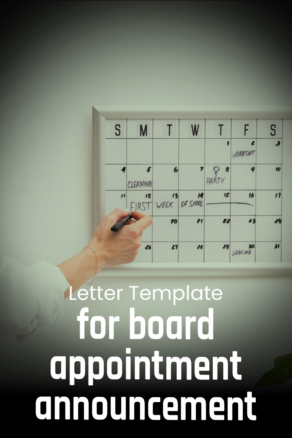 Letter Template For Board Appointment Announcement