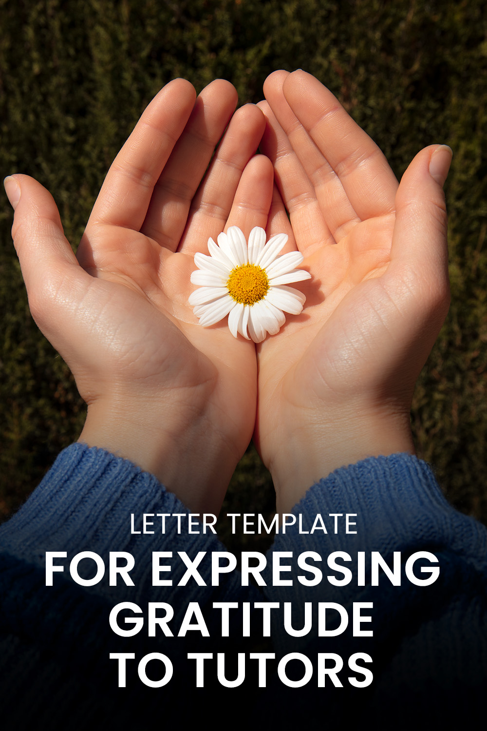 Letter Template For Expressing Gratitude To Tutors