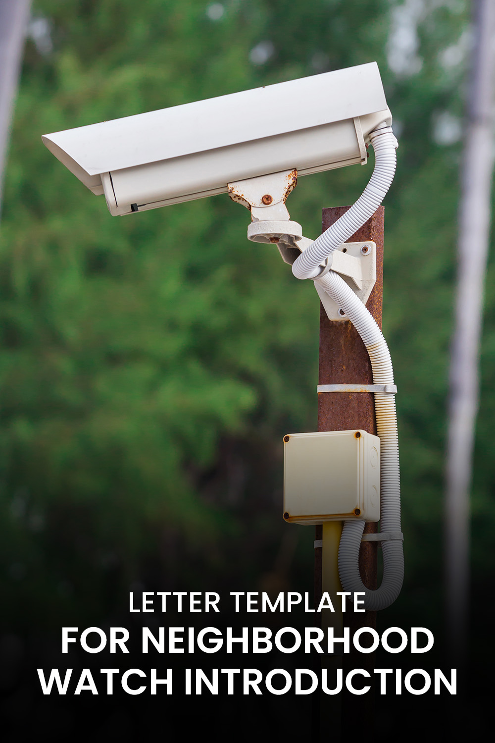 Letter Template For Neighborhood Watch Introduction