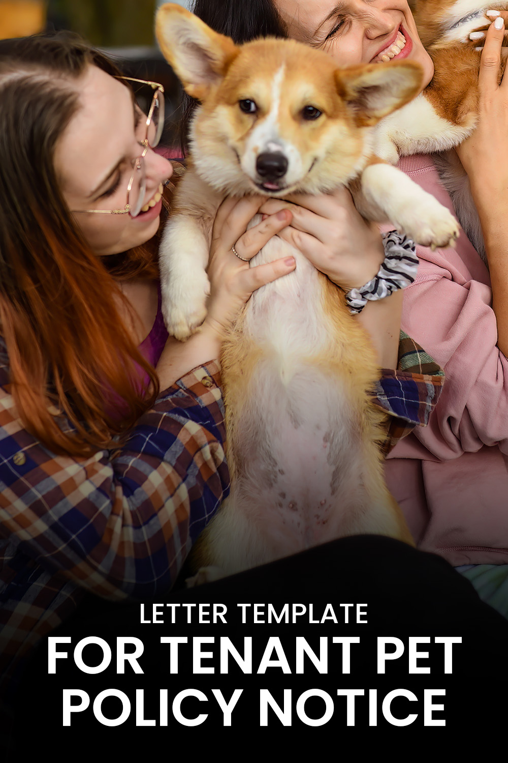 Letter Template For Tenant Pet Policy Notice