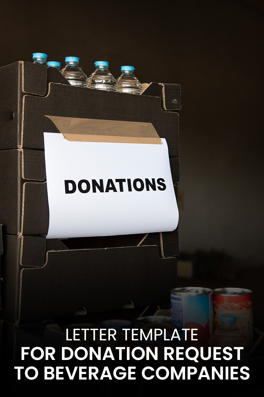 Letter Template For Donation Request To Beverage Companies