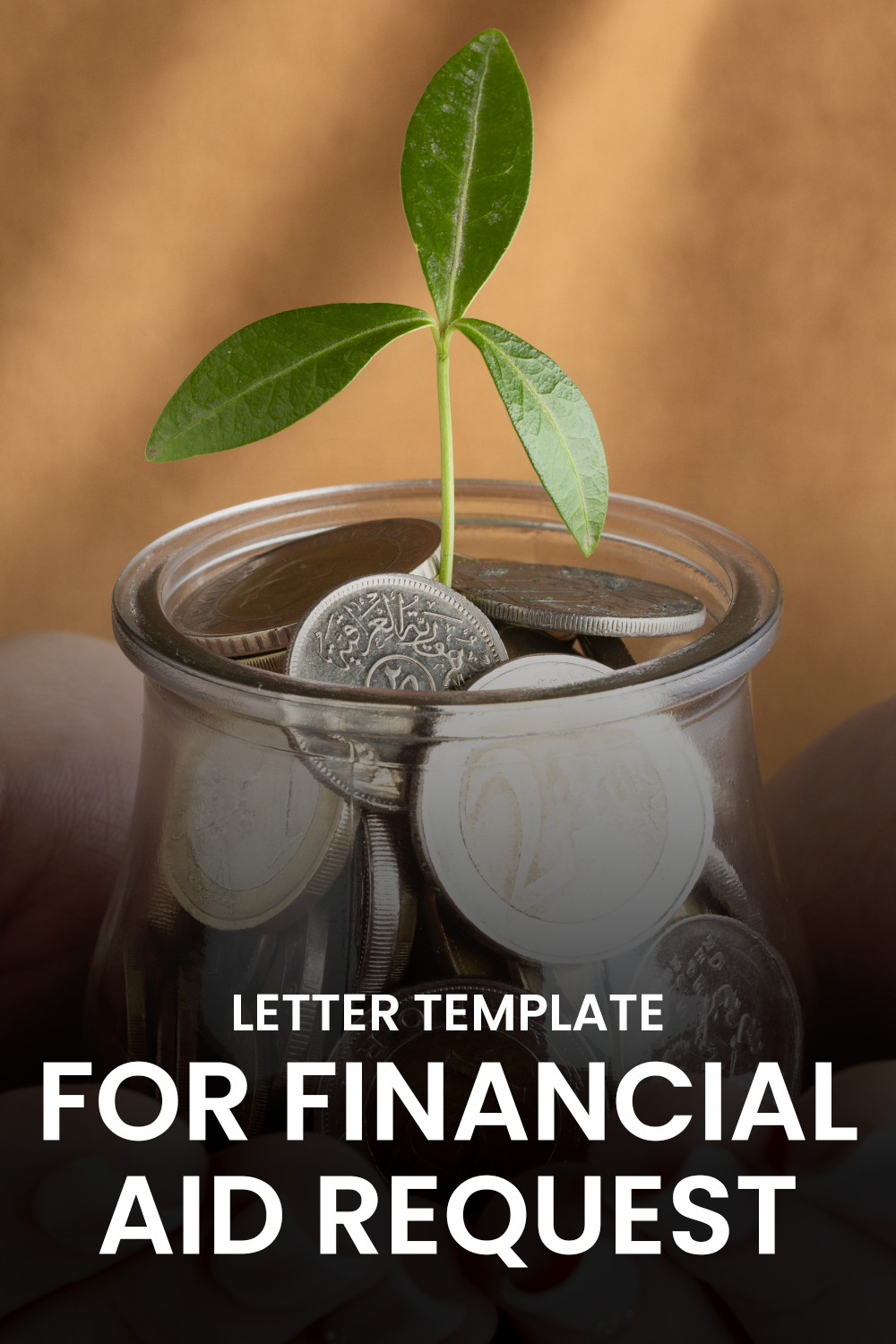 Letter Template For Financial Aid Request