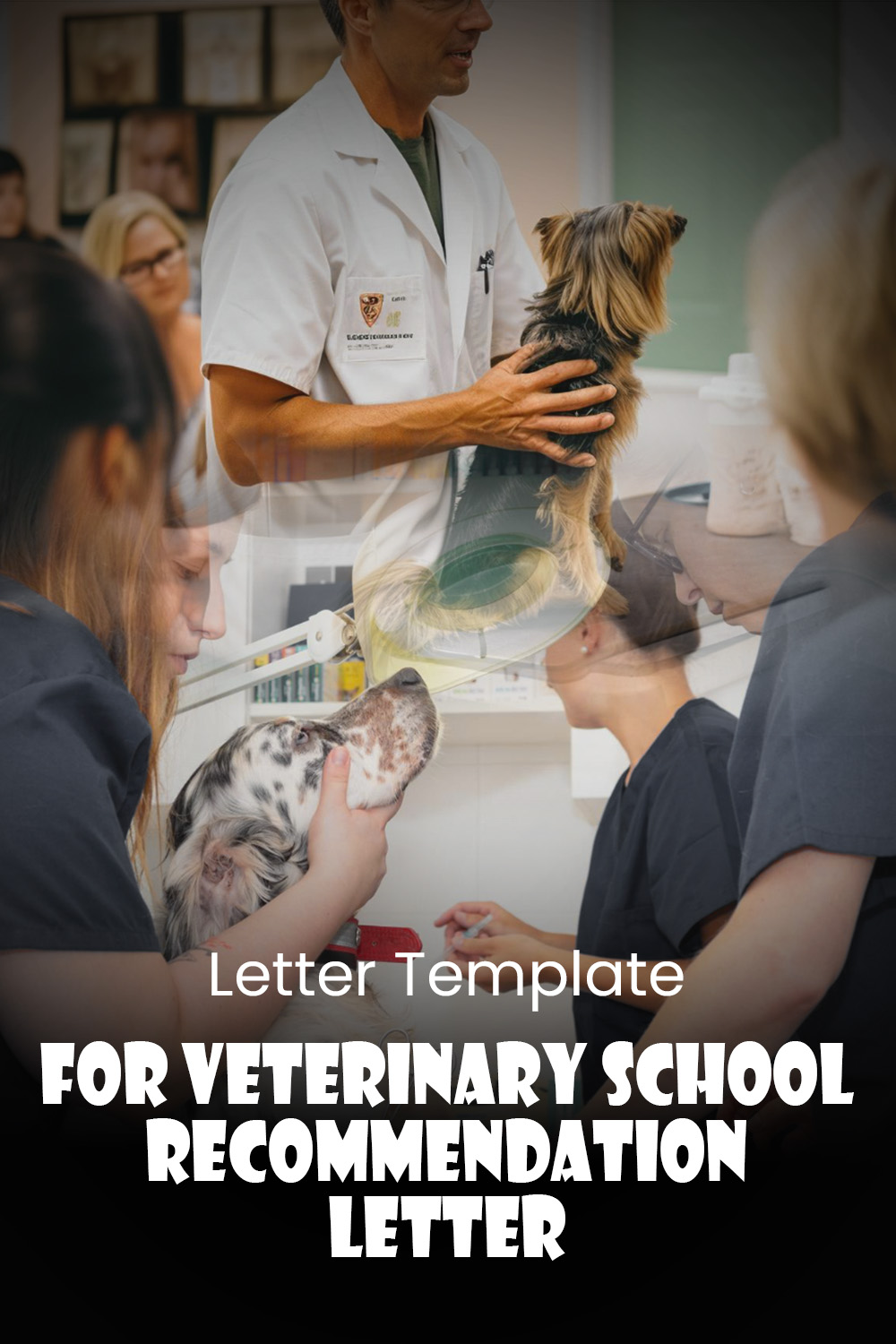 Letter Template For Veterinary School Recommendation Letter