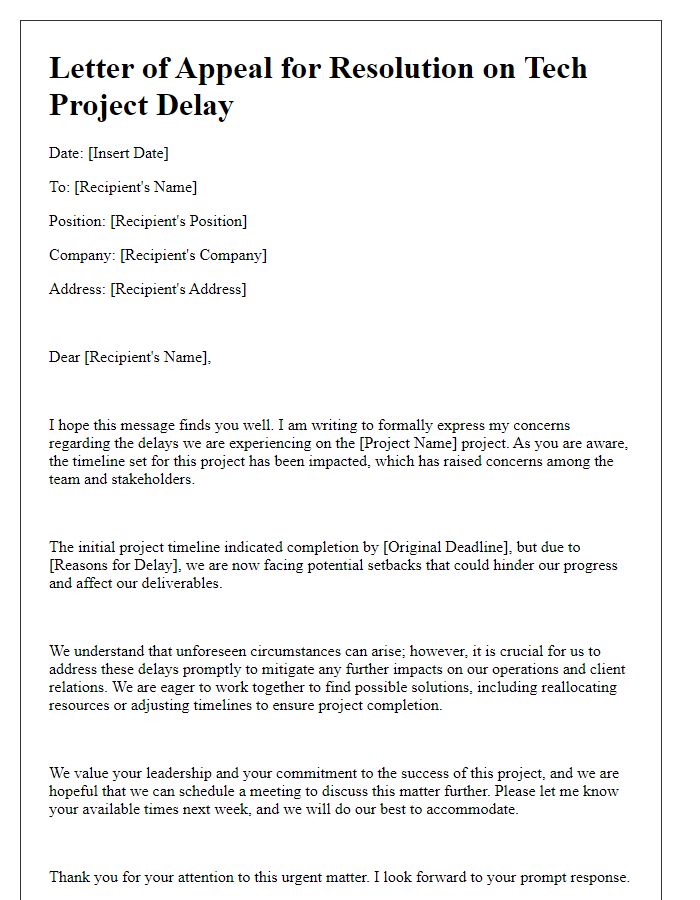 Letter template of appeal for resolution on tech project delay concerns.