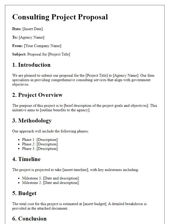 Letter template of consulting project proposal for government agencies