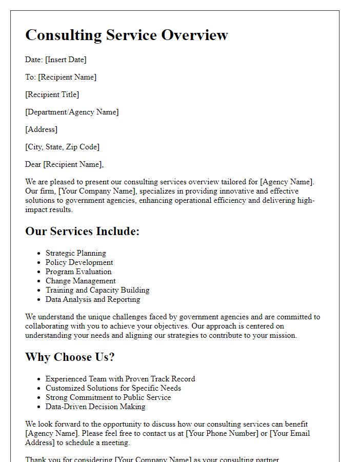 Letter template of consulting service overview for government agencies