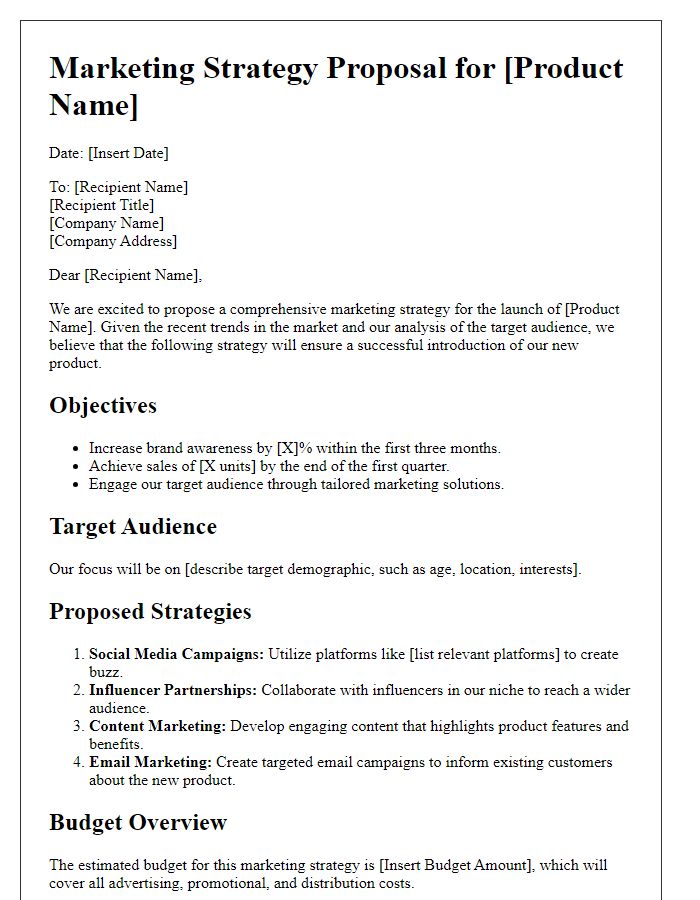 Letter template of marketing strategy proposal for new product launches.