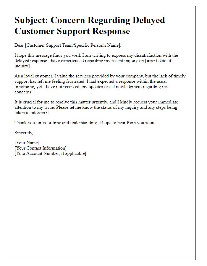 Letter template of dissatisfaction with delayed customer support response