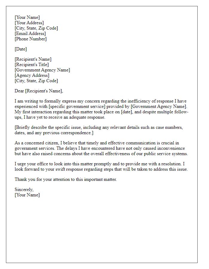 Letter template of formal complaint about inefficiency in government service response.