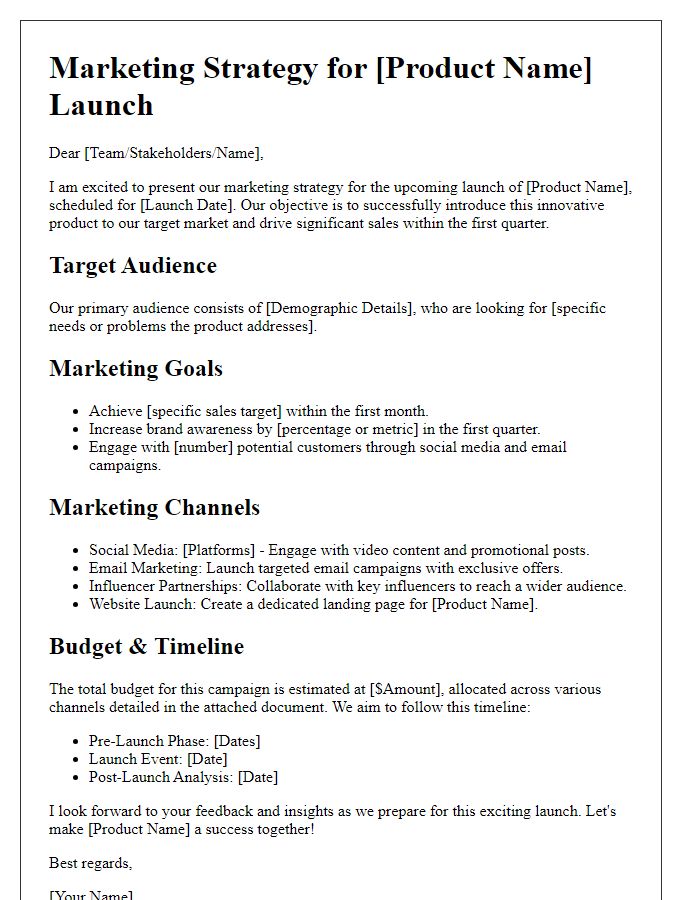 Letter template of marketing strategy for new product launch