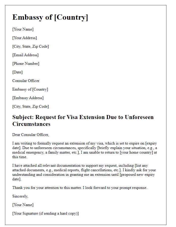 Letter template of embassy visa extension in case of unforeseen circumstances