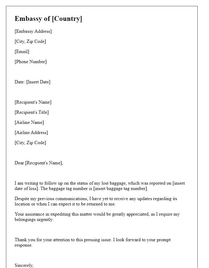 Letter template of embassy for following up on lost baggage status.