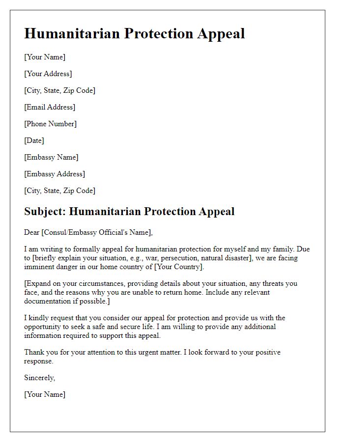 Letter template of humanitarian protection appeal for embassy