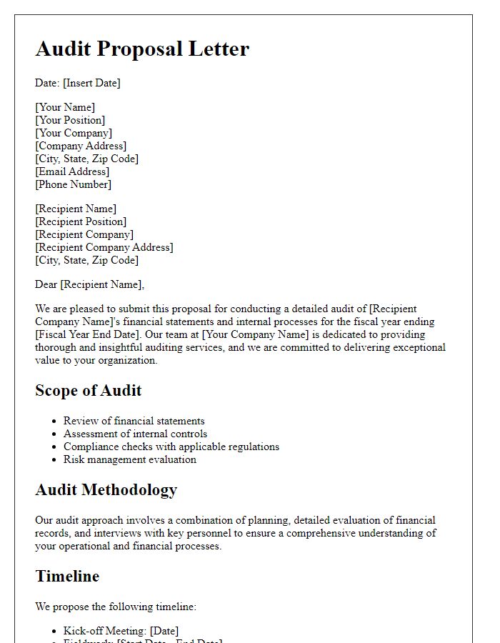 Letter template of detailed account audit proposal