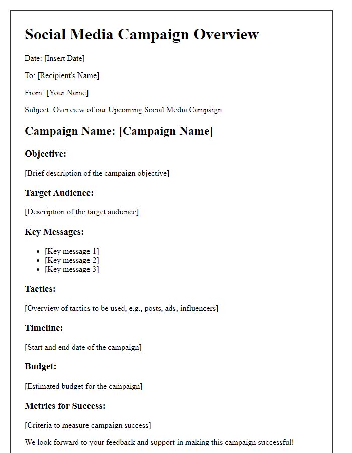 Letter template of a social media campaign overview.