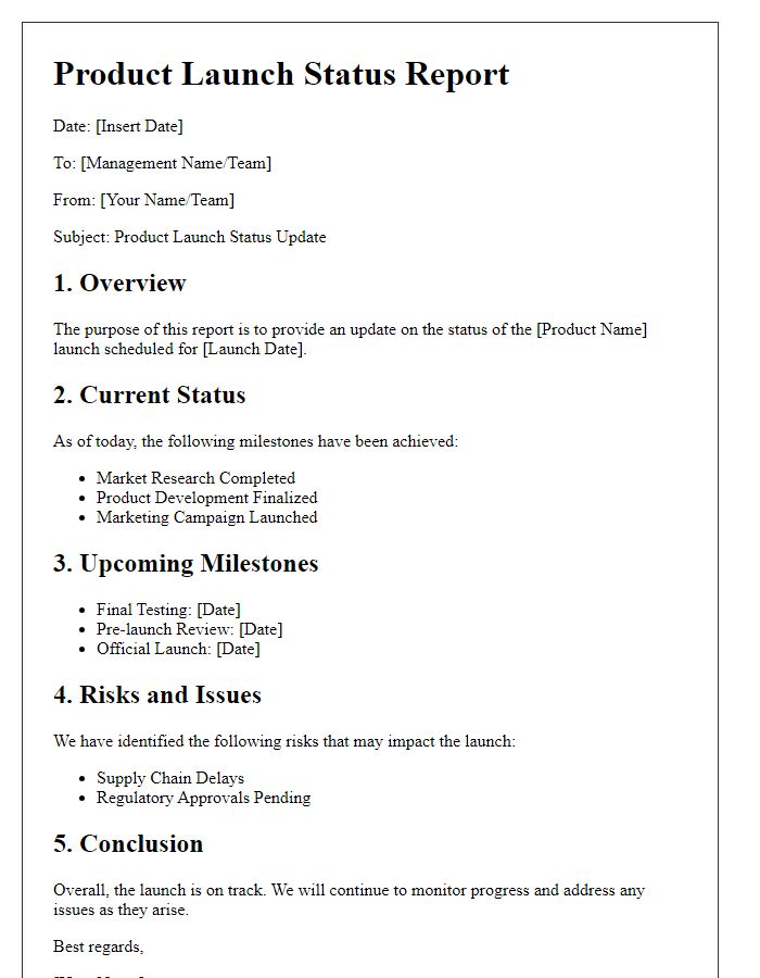 Letter template of product launch status report for management