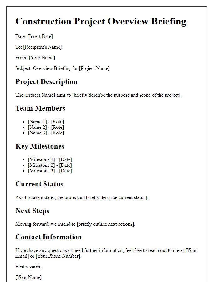 Letter template of construction team project overview briefing