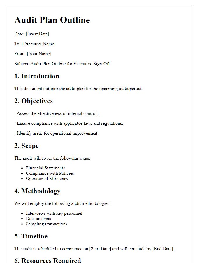 Letter template of audit plan outline for executive sign-off