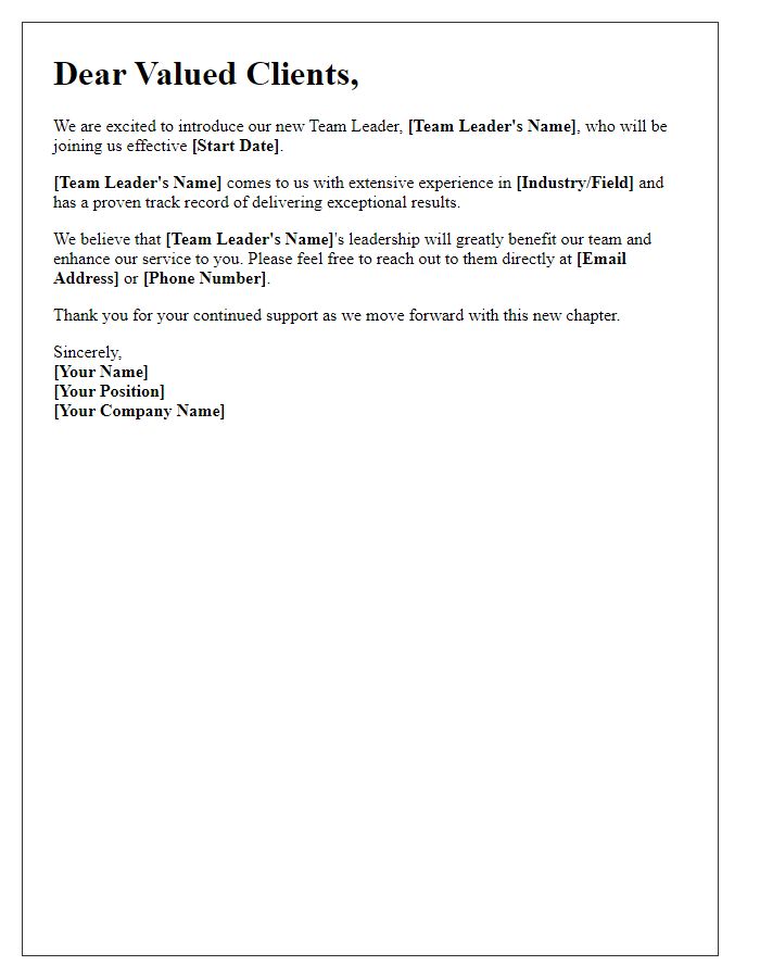 Letter template of introduction of a new team leader to clients.