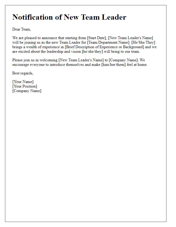 Letter template of notification regarding a new team leader's arrival.