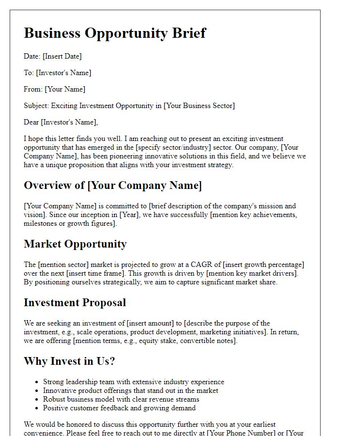 Letter template of business opportunity brief for potential investors